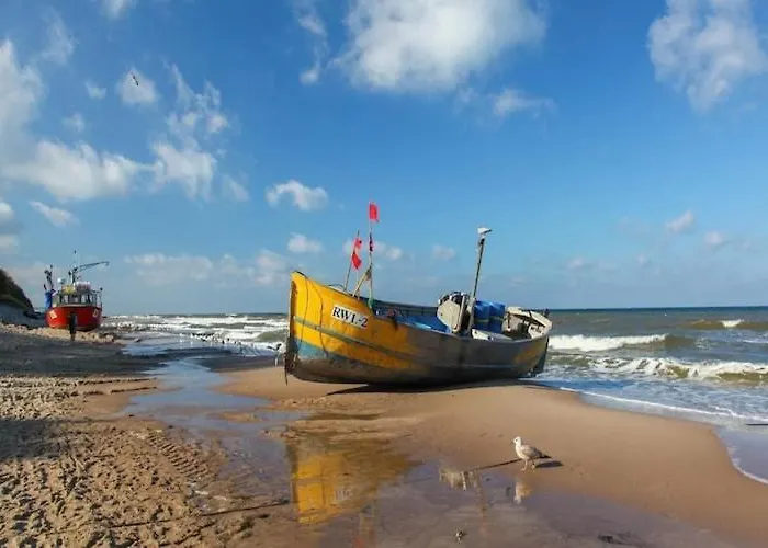 Large, Comfortable Homes, Sarbinowo